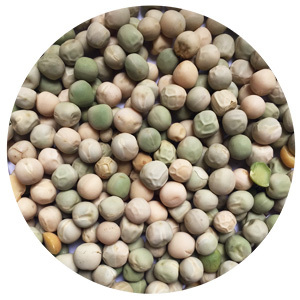 Termination of Cover Crop