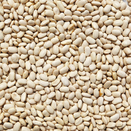 seedslegumes legumes
