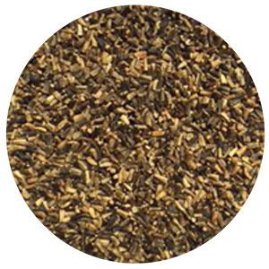 chicory seeds