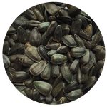 sunflower seeds
