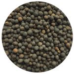 Application of Cover Crop