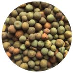winter pea seeds