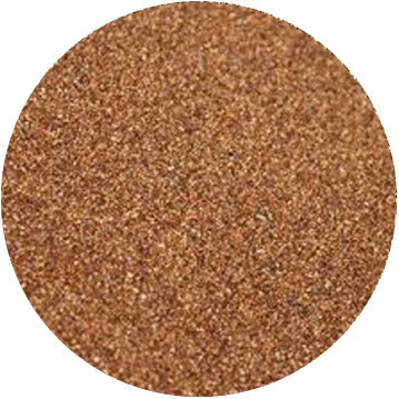 teff grass seed